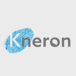 Kneron logo
