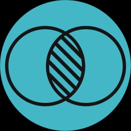 Lewi Software logo