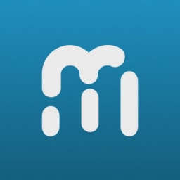 Metric Insights logo