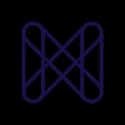Modelwise logo
