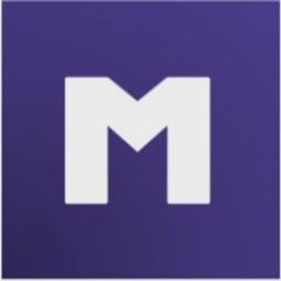 Mulberry Technology logo