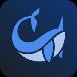 Narval logo