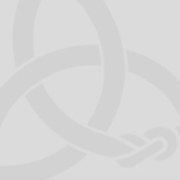 NeRRe Therapeutics logo