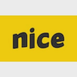 Nice logo