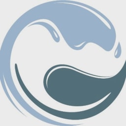 Nirvanix logo