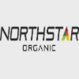 Northstar Endurance logo