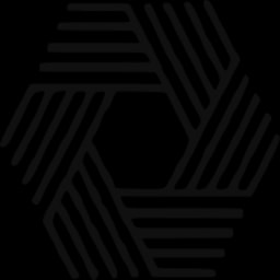 Paratus Health logo