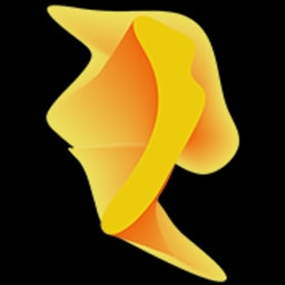 Perseus Materials logo