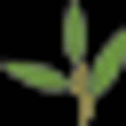 Phyllom BioProducts logo