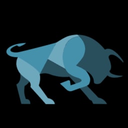 ProNavigator logo