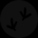 Raven logo