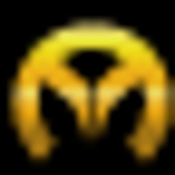 Revmetrix logo