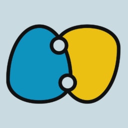 Runtime Verification logo