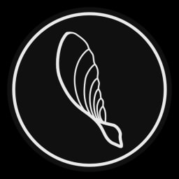 Samara Aerospace logo