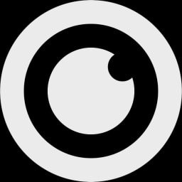 Seeing Systems logo
