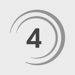 Sensible 4 logo