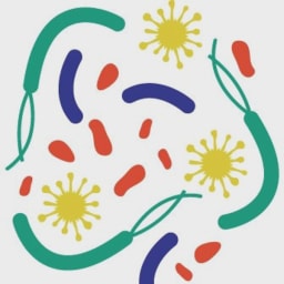 Siolta Therapeutics logo