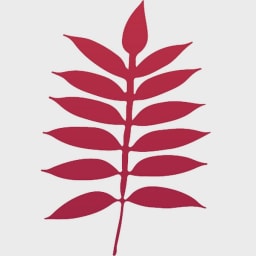 Sumac Mentoring logo