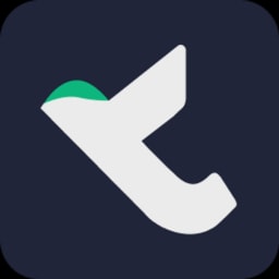 Tern Group logo