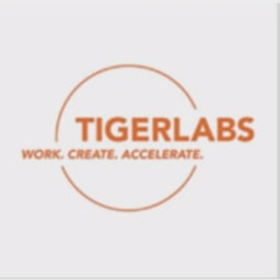 Tigerlabs Ventures logo