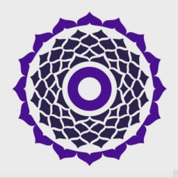True Wealth Ventures logo