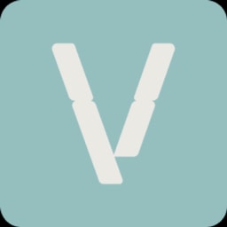 Valink Therapeutics logo