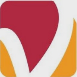 Veritas Finance logo