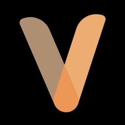 Viralspace.ai logo