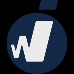 Wise Integration logo