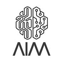AIM logo