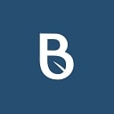 Banyan Infrastructure logo