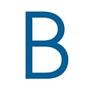 Blue Future Partners logo