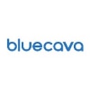 BlueCava logo