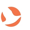 GOOSE Capital logo