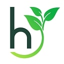 Hanfield Venture Partners logo