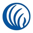 NAMI logo