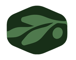 Olive Capital logo