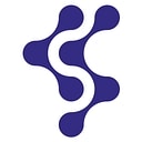 RevealSecurity logo