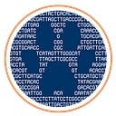Scout Bio logo