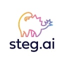 Steg AI logo