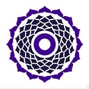 True Wealth Ventures logo