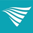 V-Wave logo