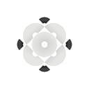 White Rose Ventures logo