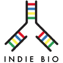 IndieBio logo