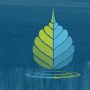 Sanitation and Health Rights in India (SHRI) logo